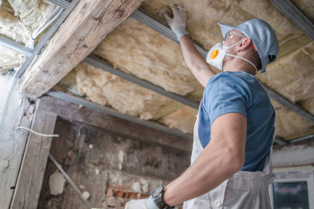 Best Insulation Maintenance and Repair in Knox, IN